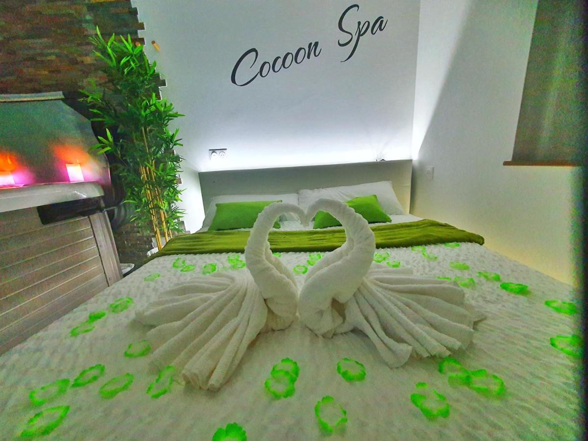 -Gite Cocoon Spa-Jacuzzi-Jardin-Parking Prive-Climatisation Holtzwihr Eksteriør bilde